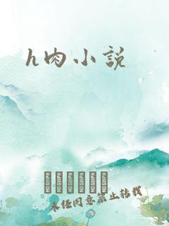 h肉小说