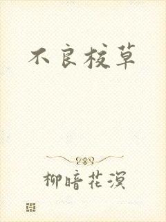 不良校草