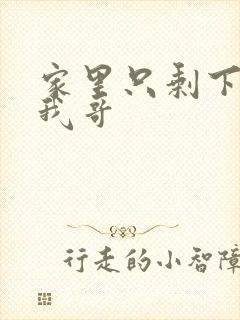 家里只剩下我和我哥