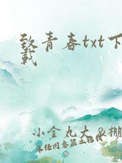 致青春txt下载