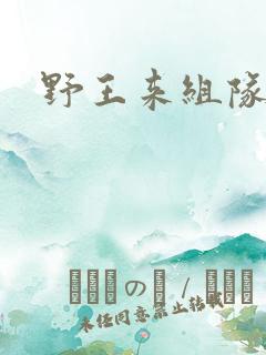 野王来组队小说