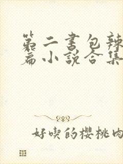 第二书包辣网短篇小说合集