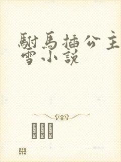 驸马插公主恋战雪小说