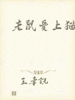 老鼠爱上猫下载