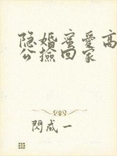 隐婚蜜爱高冷老公捡回家