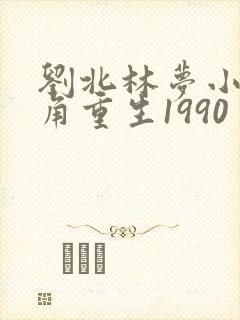 刘北林梦小说主角重生1990