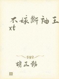 不嫁断袖王爷txt