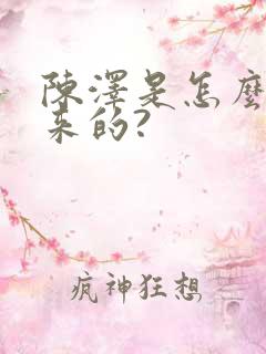 陈泽是怎么火起来的?