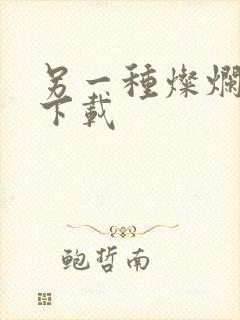 另一种灿烂生活下载