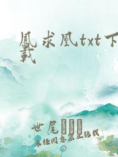 凤求凰txt下载