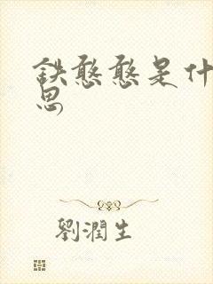 铁憨憨是什么意思