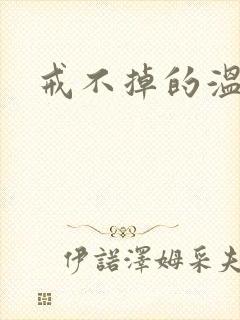 戒不掉的温柔