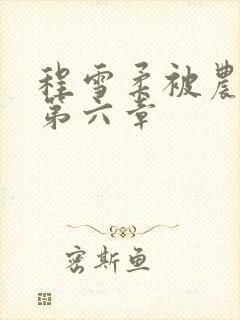 程雪柔被农民工第六章