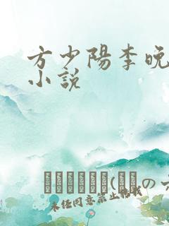 方少阳李晚晴的小说