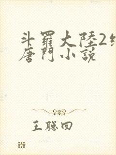 斗罗大陆2绝世唐门小说