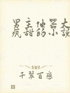 男主他器大活好疯甜的小说