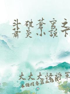 斗破苍穹之重生萧炎小说下载