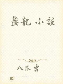 盘龙 小说