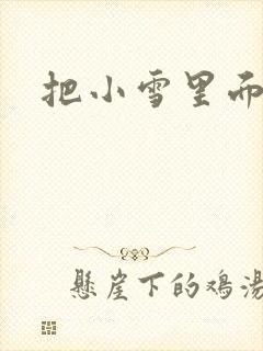 把小雪里面整满