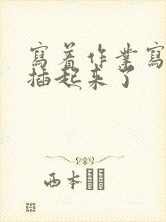 写着作业写着就插起来了