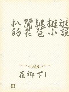 扒开腿挺进湿润的花苞小说