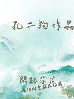 孔二狗作品