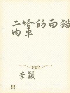 二哈的白猫师尊肉车
