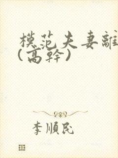 模范夫妻离婚了(高干)