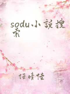 sodu小说搜索