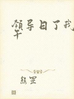 领导日了我一下午
