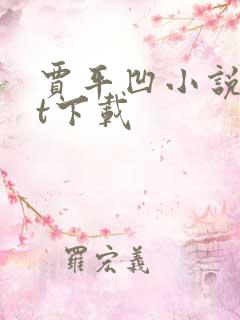 贾平凹小说txt下载