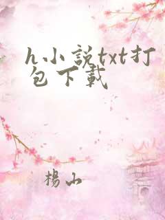 h小说txt打包下载