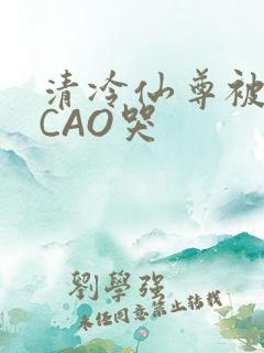 清冷仙尊被强制CAO哭