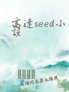 高达seed小说