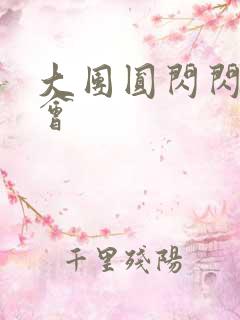 大团圆闪闪相亲会