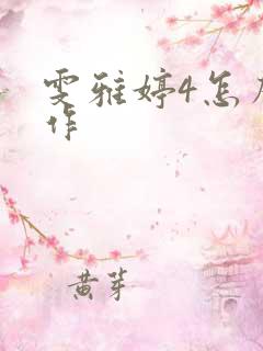 雯雅婷4怎么操作