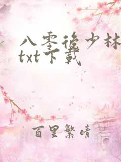 八零后少林方丈txt下载