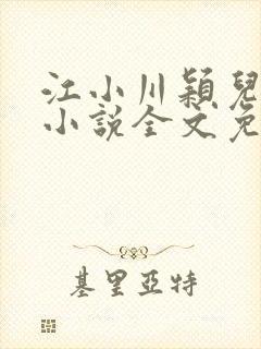 江小川颖儿穿越小说全文免费阅读