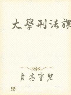 大学刑法课
