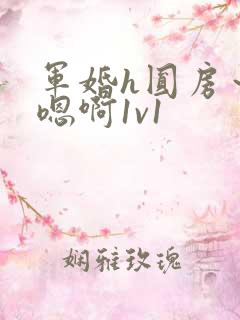 军婚h圆房～h嗯啊1v1