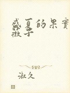 盛夏的果实 小薇子