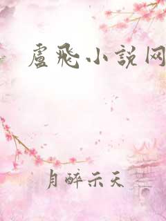 卢飞小说网