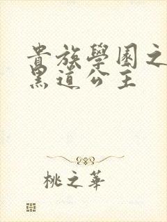 贵族学园之我的黑道公主