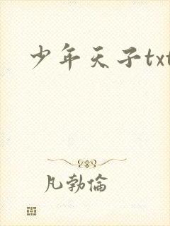 少年天子txt