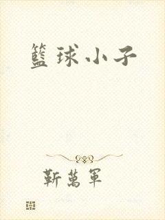 篮球小子
