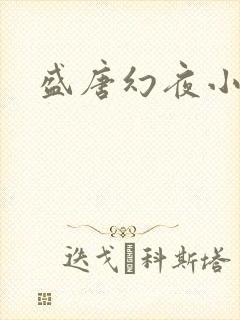 盛唐幻夜小说