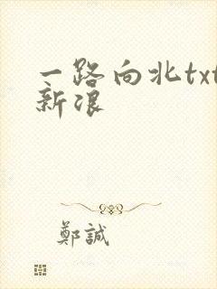 一路向北txt新浪