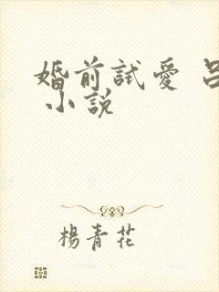 婚前试爱 吕颜 小说