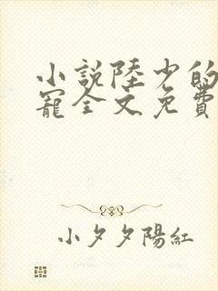 小说陆少的心尖宠全文免费阅读