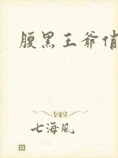 腹黑王爷俏医妃